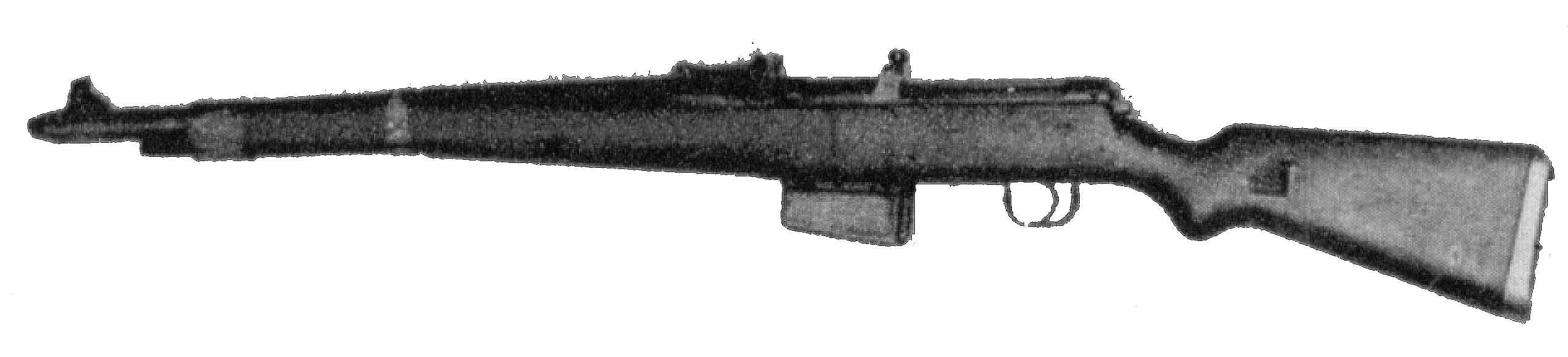 Karabin samopowtarzalny G-41(W)